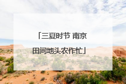 三夏时节 南京田间地头农作忙