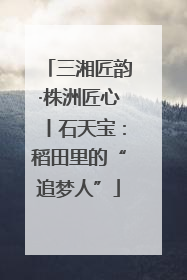 三湘匠韵·株洲匠心丨石天宝：稻田里的“追梦人”