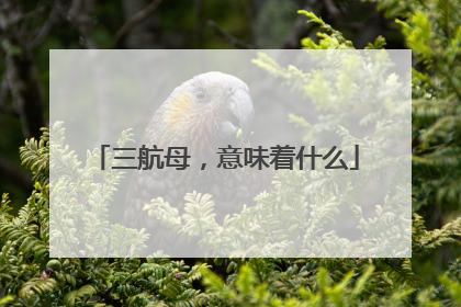 三航母，意味着什么