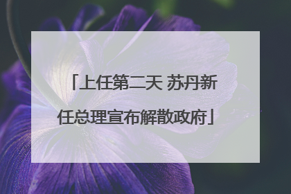 上任第二天 苏丹新任总理宣布解散政府