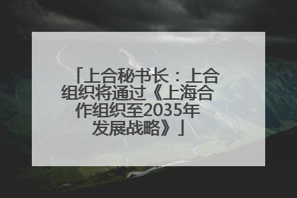 上合秘书长：上合组织将通过《上海合作组织至2035年发展战略》