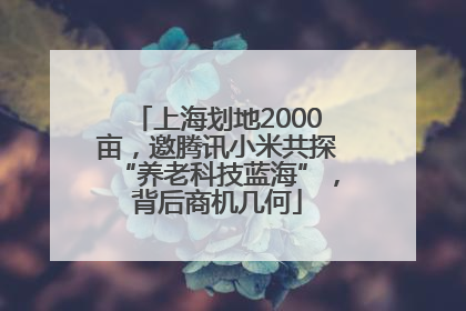 上海划地2000亩，邀腾讯小米共探“养老科技蓝海”，背后商机几何
