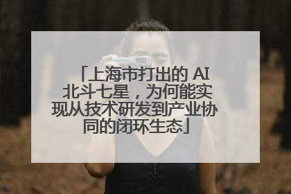 上海市打出的 AI 北斗七星，为何能实现从技术研发到产业协同的闭环生态