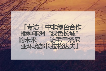 专访丨中非绿色合作播种非洲“绿色长城”的未来——访毛里塔尼亚环境部长拉格达夫