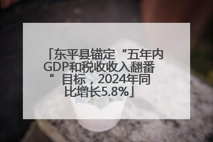 东平县锚定“五年内GDP和税收收入翻番”目标，2024年同比增长5.8%