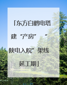 东方白鹳电塔建“产房” “陕电入皖”架线延工期