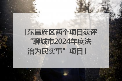 东昌府区两个项目获评“聊城市2024年度法治为民实事”项目