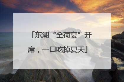 东湖“全荷宴”开席，一口吃掉夏天