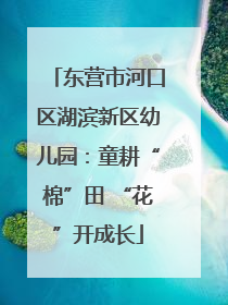 东营市河口区湖滨新区幼儿园：童耕“棉”田 “花”开成长