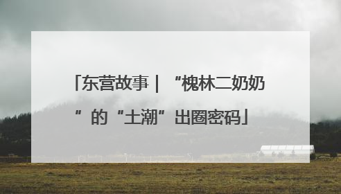 东营故事｜“槐林二奶奶”的“土潮”出圈密码