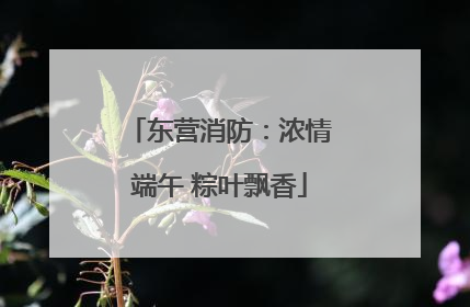 东营消防：浓情端午 粽叶飘香