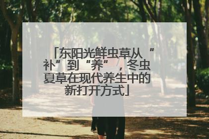 东阳光鲜虫草从“补”到“养”，冬虫夏草在现代养生中的新打开方式