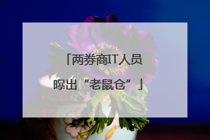两券商IT人员曝出“老鼠仓”