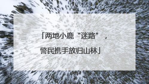 两地小鹿“迷路”，警民携手放归山林