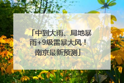 中到大雨、局地暴雨+9级雷暴大风！南京最新预测