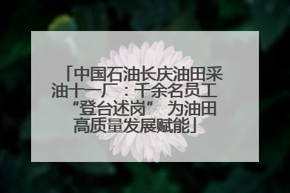 中国石油长庆油田采油十一厂：千余名员工“登台述岗” 为油田高质量发展赋能