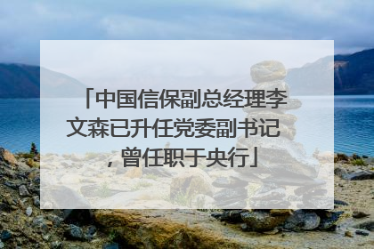 中国信保副总经理李文森已升任党委副书记，曾任职于央行