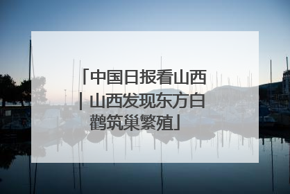 中国日报看山西｜山西发现东方白鹳筑巢繁殖