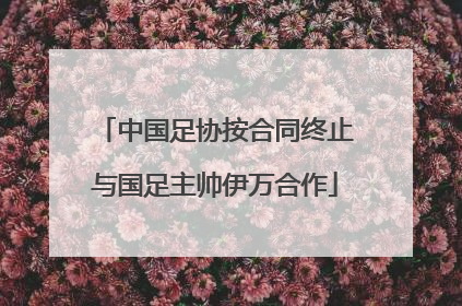 中国足协按合同终止与国足主帅伊万合作