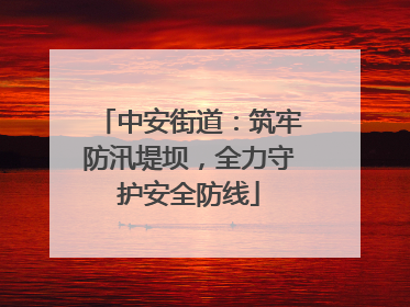 中安街道：筑牢防汛堤坝，全力守护安全防线