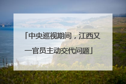中央巡视期间，江西又一官员主动交代问题