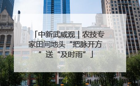 中新武威观｜农技专家田间地头“把脉开方”送“及时雨”
