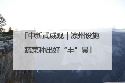 中新武威观｜凉州设施蔬菜种出好“丰”景