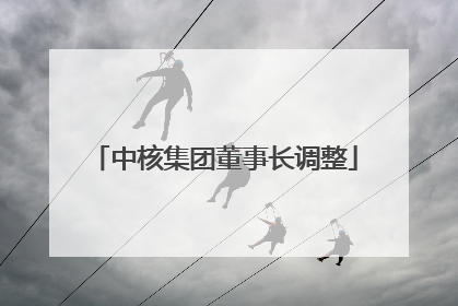 中核集团董事长调整