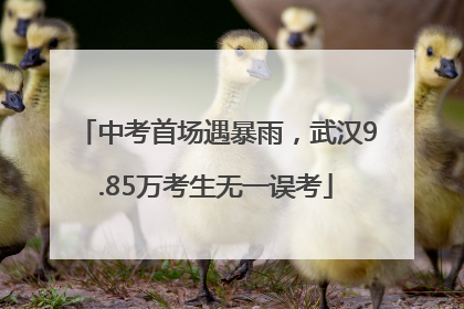 中考首场遇暴雨，武汉9.85万考生无一误考