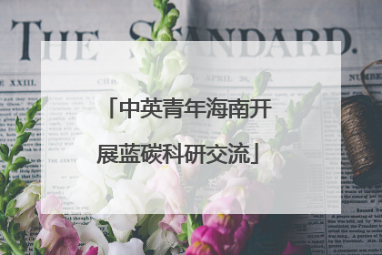中英青年海南开展蓝碳科研交流