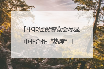 中非经贸博览会尽显中非合作“热度”