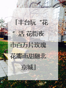 丰台玩“花”活 花街夜市百万片玫瑰花瓣雨甜翻北京城