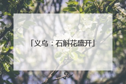 义乌：石斛花盛开