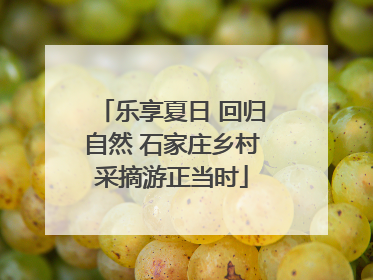 乐享夏日 回归自然 石家庄乡村采摘游正当时