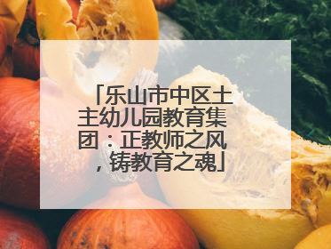 乐山市中区土主幼儿园教育集团：正教师之风，铸教育之魂
