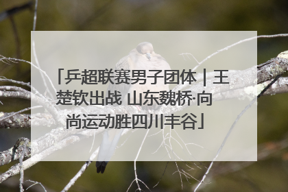 乒超联赛男子团体｜王楚钦出战 山东魏桥·向尚运动胜四川丰谷