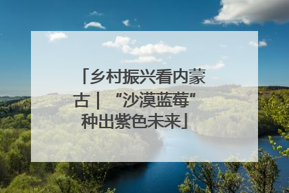 乡村振兴看内蒙古｜“沙漠蓝莓”种出紫色未来