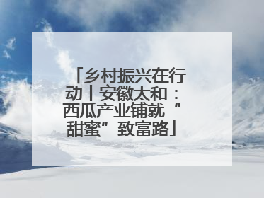乡村振兴在行动丨安徽太和：西瓜产业铺就“甜蜜”致富路