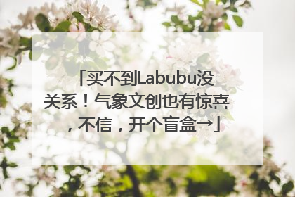 买不到Labubu没关系！气象文创也有惊喜，不信，开个盲盒→