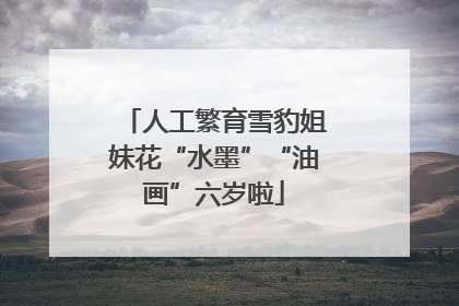 人工繁育雪豹姐妹花“水墨”“油画”六岁啦