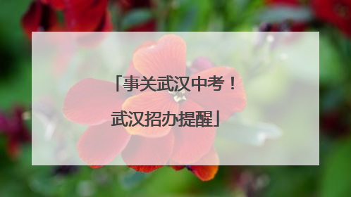 事关武汉中考！武汉招办提醒
