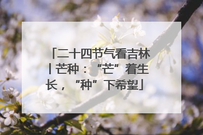 二十四节气看吉林丨芒种：“芒”着生长，“种”下希望