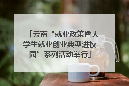 云南“就业政策暨大学生就业创业典型进校园”系列活动举行