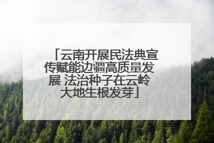 云南开展民法典宣传赋能边疆高质量发展 法治种子在云岭大地生根发芽