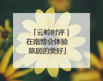 云岭时评｜在南博会体验旅居的美好