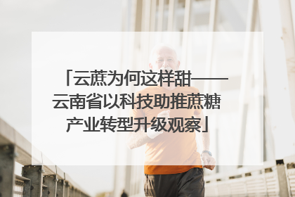 云蔗为何这样甜——云南省以科技助推蔗糖产业转型升级观察