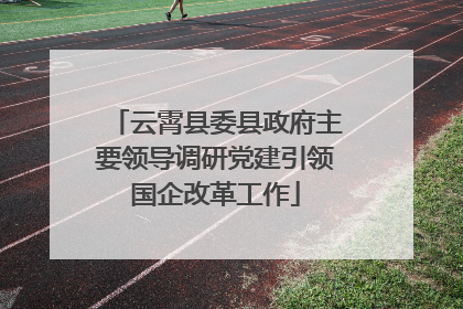 云霄县委县政府主要领导调研党建引领国企改革工作