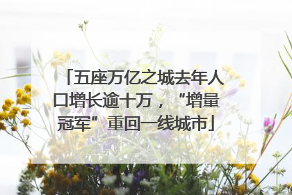 五座万亿之城去年人口增长逾十万，“增量冠军”重回一线城市