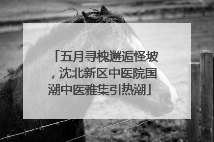 五月寻槐邂逅怪坡，沈北新区中医院国潮中医雅集引热潮