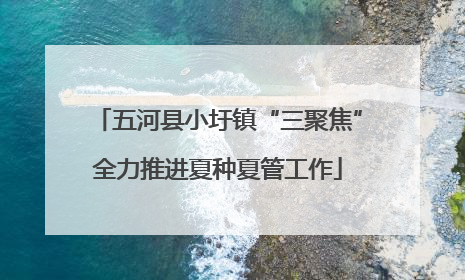 五河县小圩镇“三聚焦”全力推进夏种夏管工作